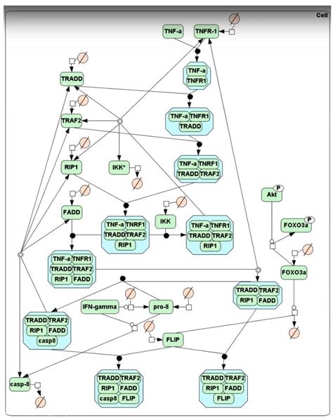 Robust System of Algorithms for the Functioning of Biocompatible ...