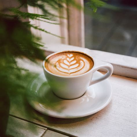 Coffee Shop Uptown Charlotte at Anthony Bohnsack blog