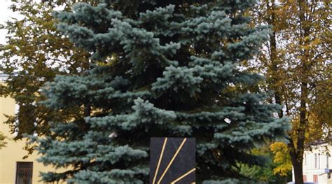 MONUMENT TO THE LIQUIDATORS OF THE CHERNOBYL ACCIDENT (2024) All You ...