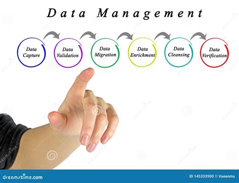 Data Management Process 的图像结果