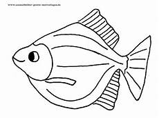 ausmalbilder zum ausdrucken kostenlos fische 6 beste ausmalbilder fische gratis kostenlose ausmalbilder zum ausdrucken kostenlos fische 6 beste ausmalbilder fische gratis kostenlose