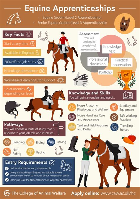 Equine Apprenticeships Infographic | Horse care, Horse information ...