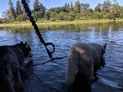 Lord Hill Regional Park — Washington Trails Association