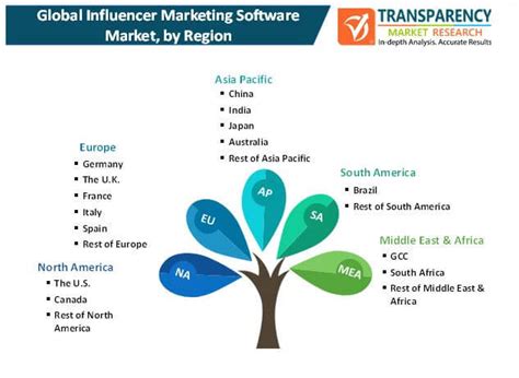 Influencer Marketing Software Market Size 2020, Market Opportunities ...
