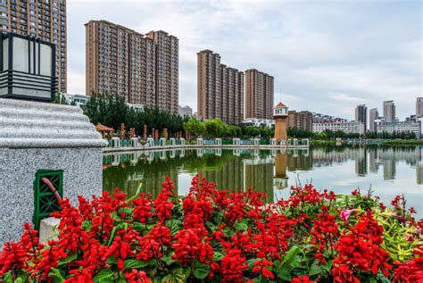 黑龙江城市大小排名 哈尔滨位列榜首，大庆仅列第七