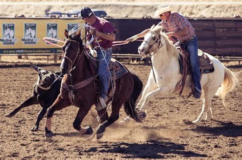 Roping Competition 的图像结果