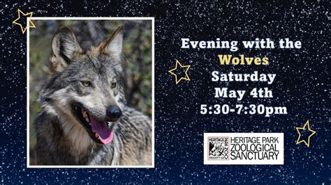 Evening with the Wolves, Heritage Park Zoological Sanctuary, Prescott ...