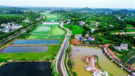 四川绵阳三台金山村农家自建房出租三台县农村房屋出租-三台县美丽新乡村