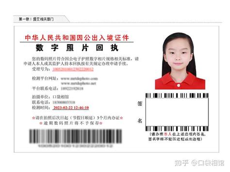 【驾照】各省换驾驶证照片要求及在线制作回执证件照方法 - 知乎