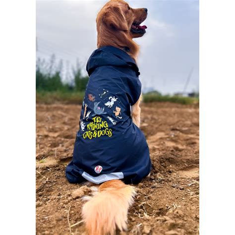 Buy Lana Paws Its Raining Cats & Dogs Printed Raincoat for Dogs (Navy ...