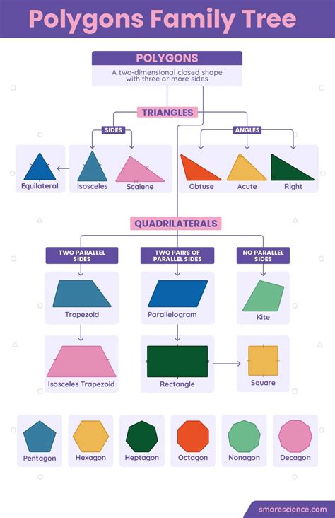 Polygons Family Tree - Smore Science