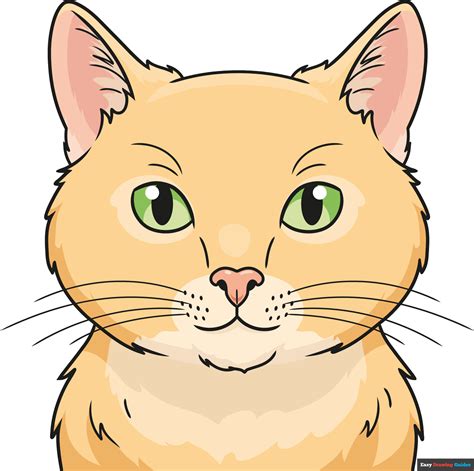 How To Draw A Realistic Cat Face For Beginners at Steven Martines blog