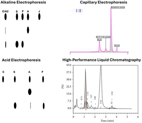 Emerging Technologies and Advanced Strategies in Hemoglobin Defect ...