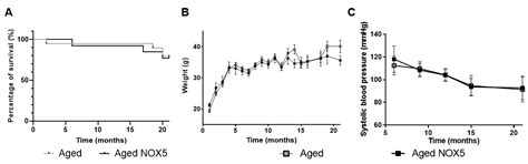 Expression of Endothelial NOX5 Alters the Integrity of the Blood-Brain ...