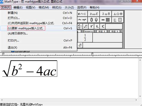 Word MathType 的图像结果
