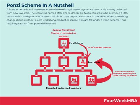 Image result for Ponzi Scheme Examples