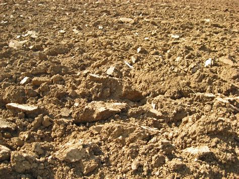 Ground Loop Currents 的图像结果