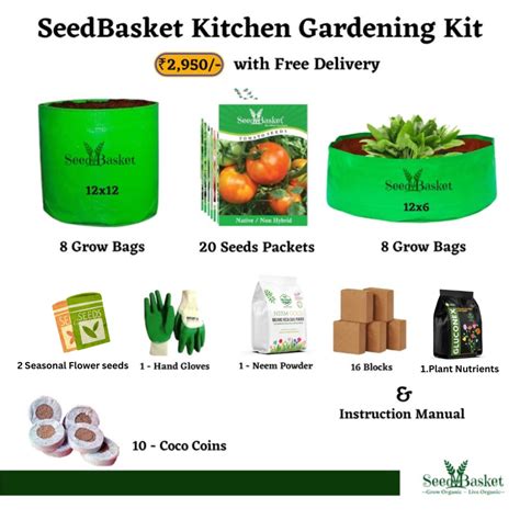 Buy Garden Kit for home garden beginners