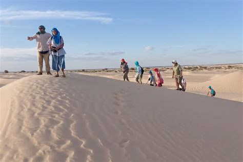 ROUTE INSOLITE DJERBA (2026) All You Need to Know BEFORE You Go (with ...