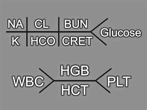 Image result for Lab Program Diagrams