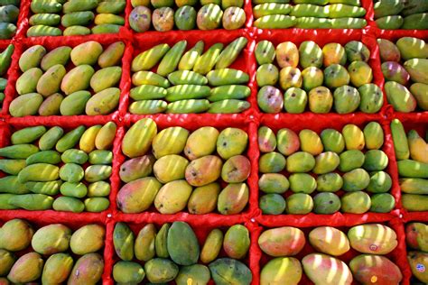 Different Types Of Mangoes at Dennis Fleming blog