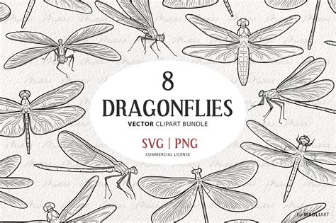 Dragonflies Clipart Black And White