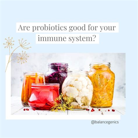 probiotics for immune system