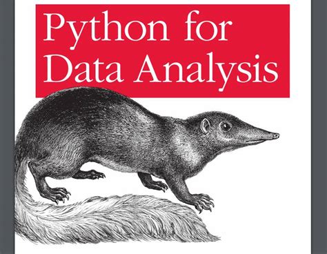 Python for Data Analysis Book PDF 的图像结果
