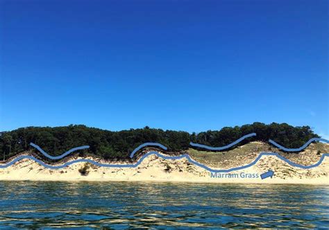 Image result for Undulation Examples