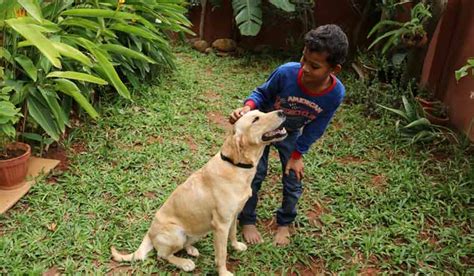 Tackling stress will now be fun with animal therapy- The Week