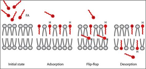 Bildergebnis für runway+stable+diffusion+model