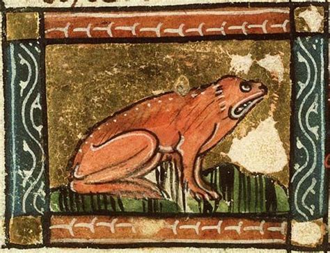 Exploding Frog Video 的图像结果