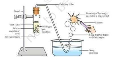 Draw the diagram of arrangement of apparatus used to show the reaction ...