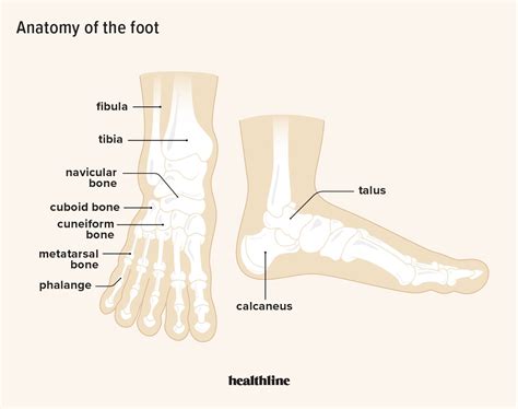 Foot Pain: Causes, Treatment, Prevention