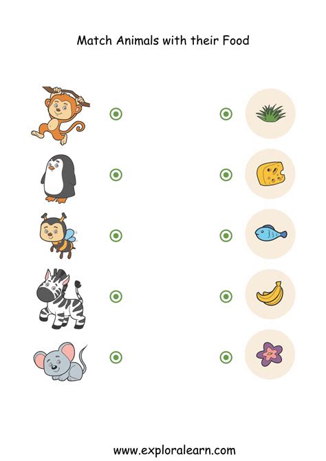 Animal Foods Printable