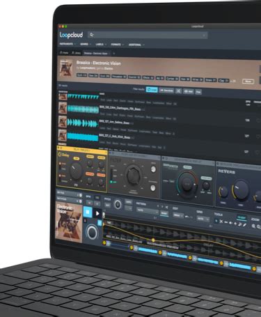 Image result for Loopcloud Play Presets