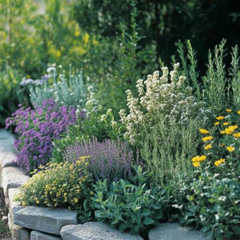15 Healing Herb Garden Ideas for Health and Wellness