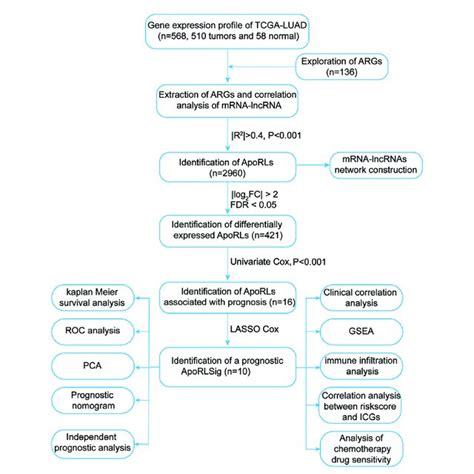 Flowchart TCGA 的图像结果