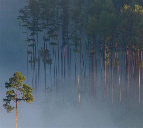 What percentage of the 50 regions have stores within 1, 2, or 3 ...