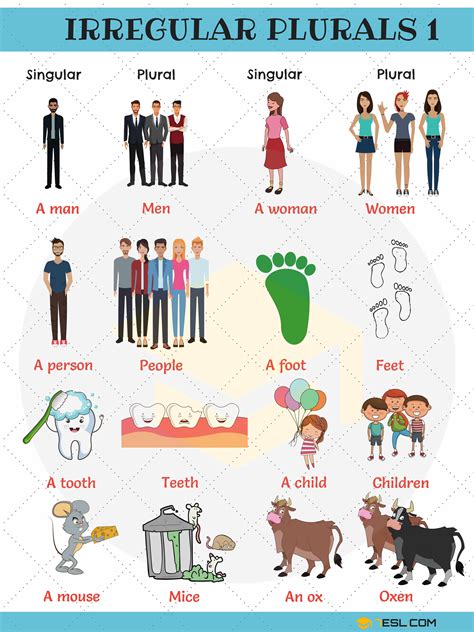 Irregular Plural Nouns in English • 7ESL