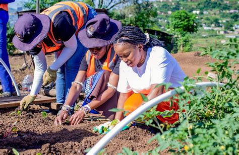South African Agric-Entepreneur Ntobeka Mafu is Helping Small-Scale ...