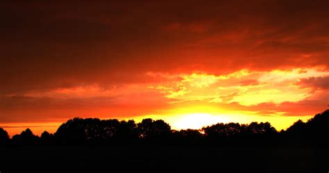 Red Sun Exploding 的图像结果