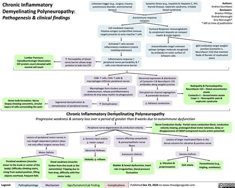 Chronic Inflammatory Demyelinating Polyneuropathy | Calgary ...