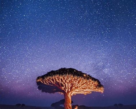 SOCOTRA HIKING (Hadiboh) - Campground Reviews & Photos - Tripadvisor
