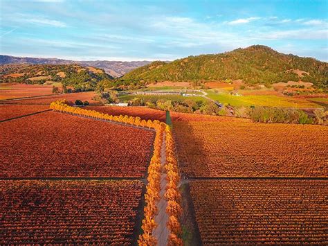 Where to Go This Fall: Top Destinations to Experience Autumn at Its Best - Going Places Travel