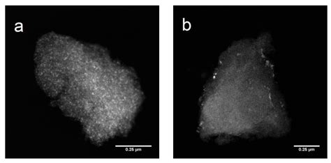 Palladium-Rhenium Catalysts for Selective Hydrogenation of Furfural ...