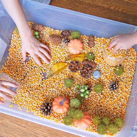 November Sensory Bin Easy Fall Sensory Bin For Preschoolers Happy