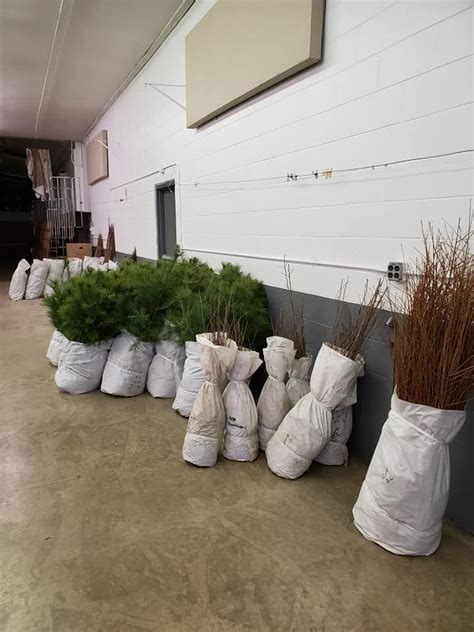 Elkhart County SWCD & Michiana Master Gardener 2025 Tree Sale. , C/o ...