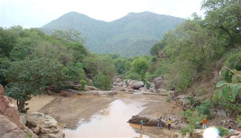 15 Great Things To Do In Vellore In 2026 For An Amazing Trip