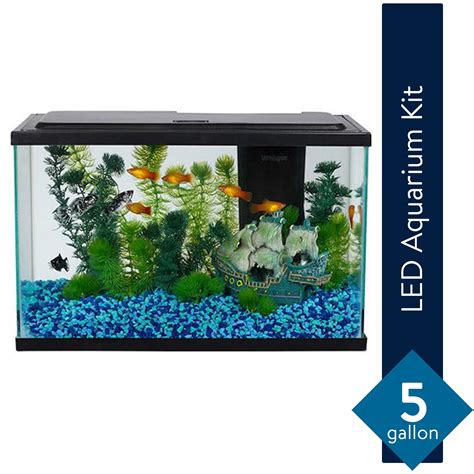 Buy Aqua Culture 5-Gallon Glass Fish Tank LED Aquarium Starter Kit ...